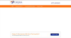 Desktop Screenshot of cayugacorp.com